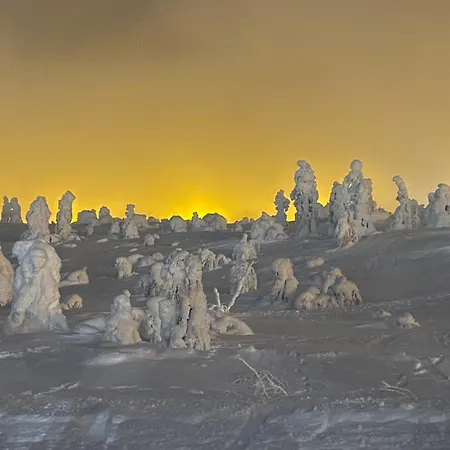 White House Dom wakacyjny Levi