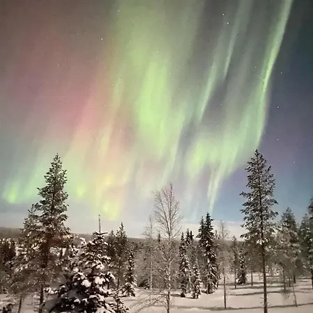 White House Сasa de vacaciones *