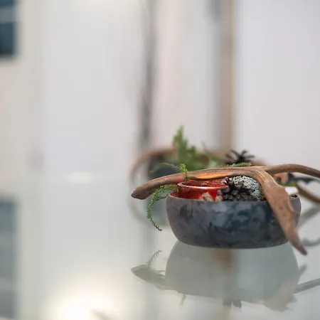 White House Сasa de vacaciones Levi