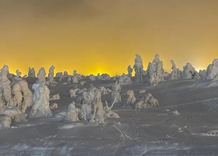 White House Loma-asunnot Levi