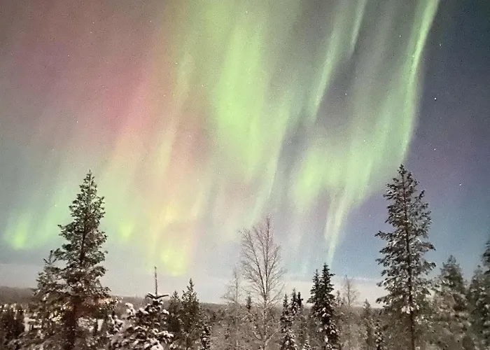 White House Loma-asunnot *