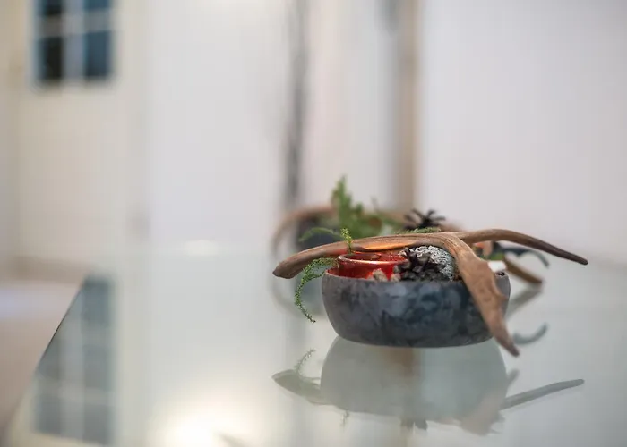 White House Loma-asunnot Levi